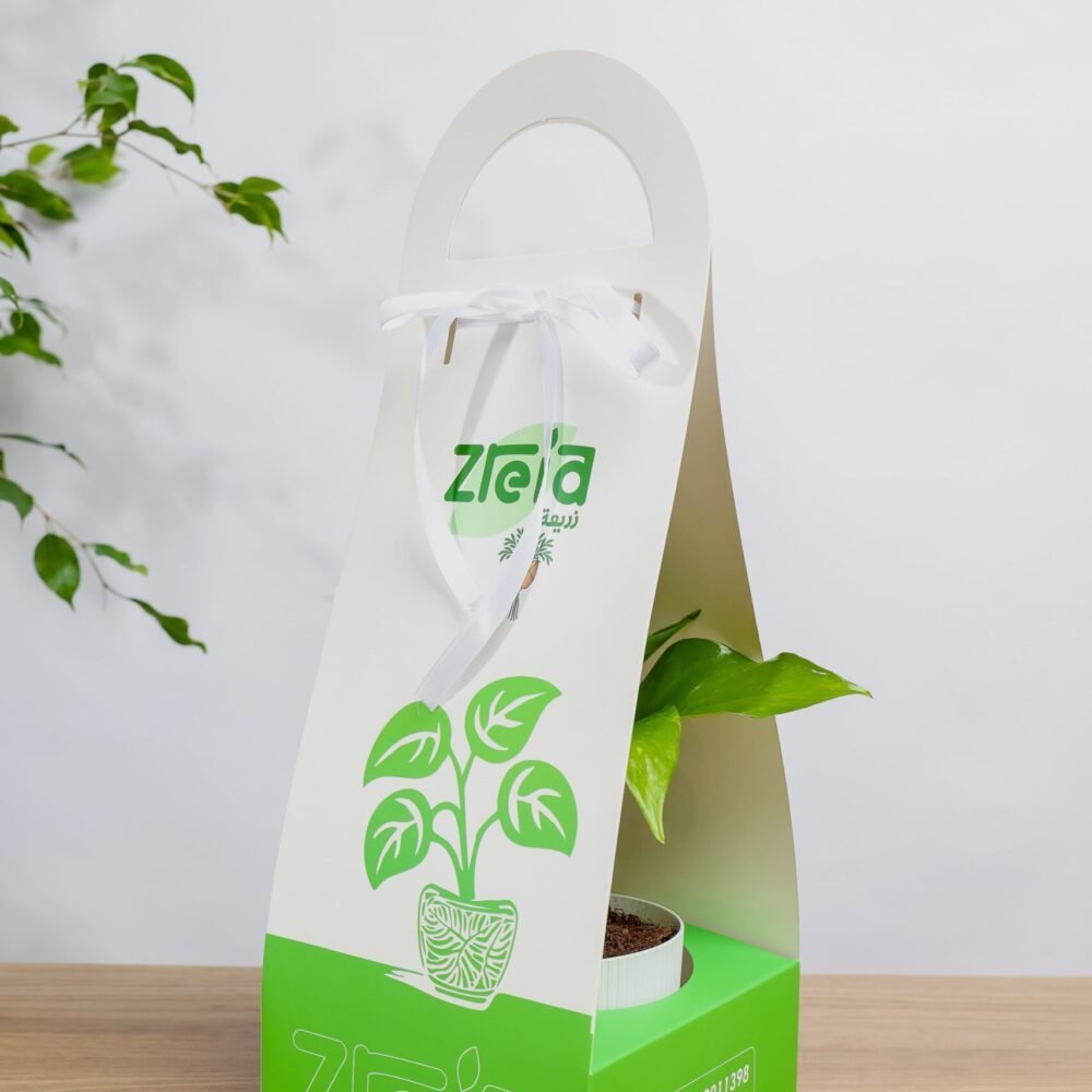 Shop Secondary Image