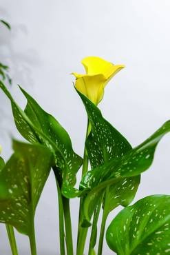 Shop Primary Image Shop Primary Image