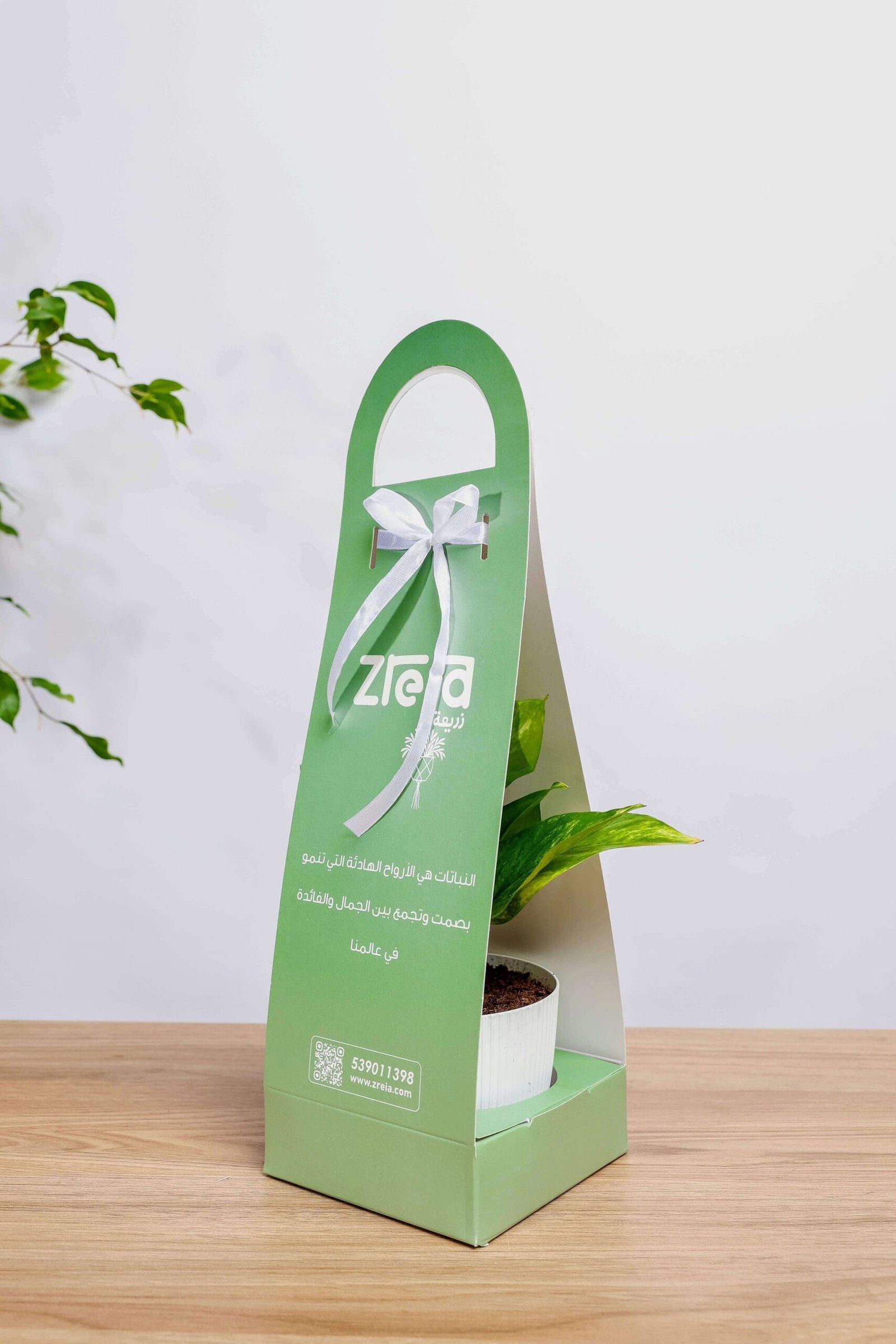 هديه هولدر نبتة البوتس جولدن اخضر - الصورة 2