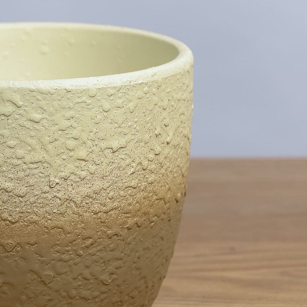 Shop Secondary Image Shop Secondary Image