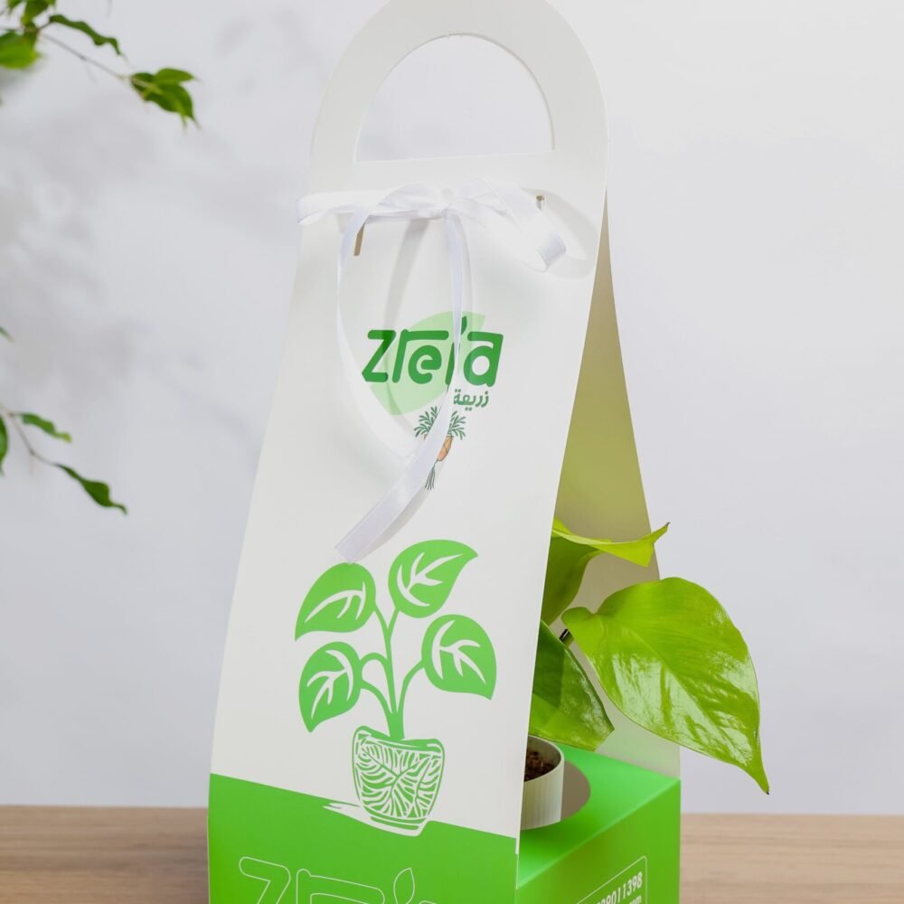 Shop Secondary Image