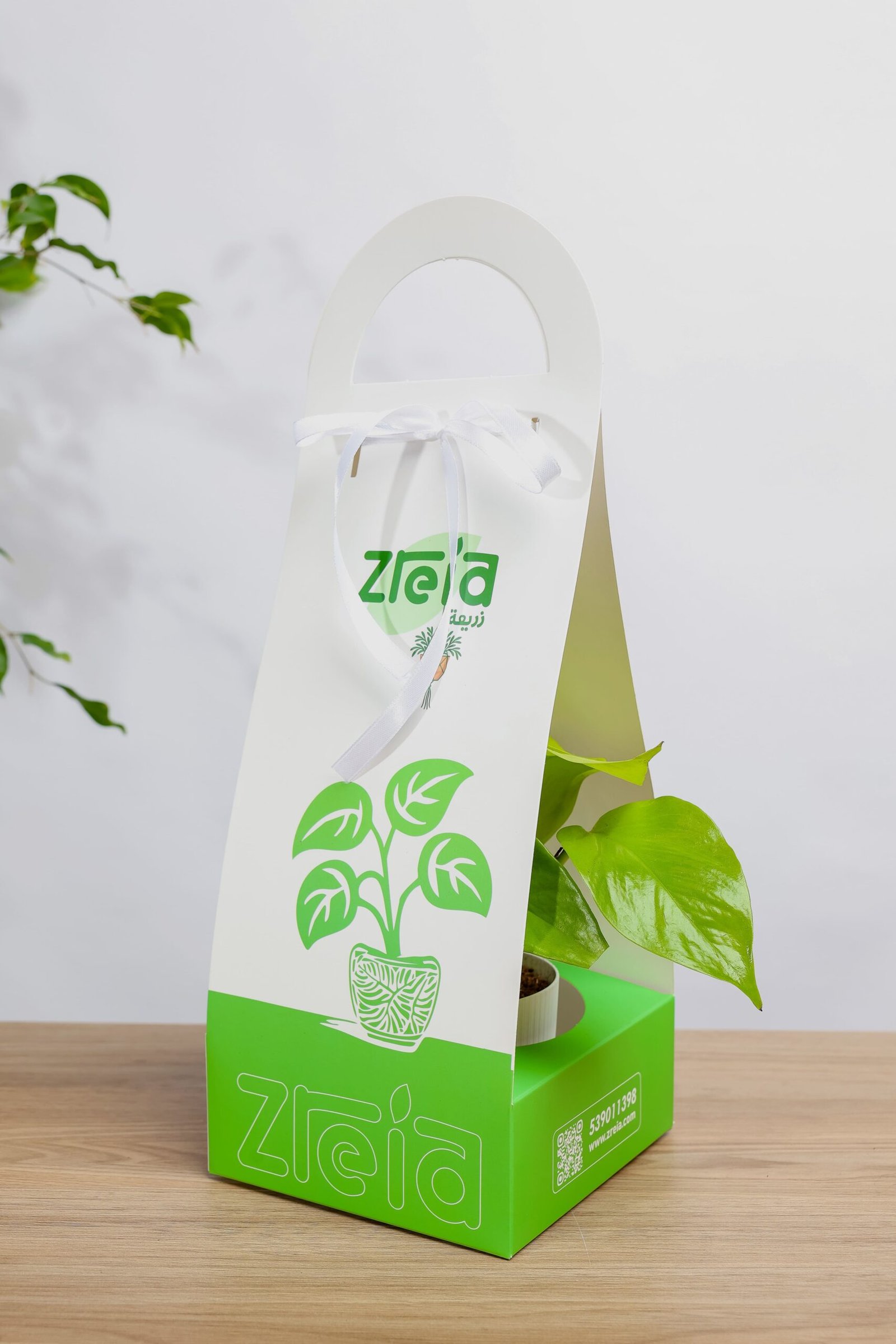 هديه هولدر نبتة بوتس نيون - الصورة 2