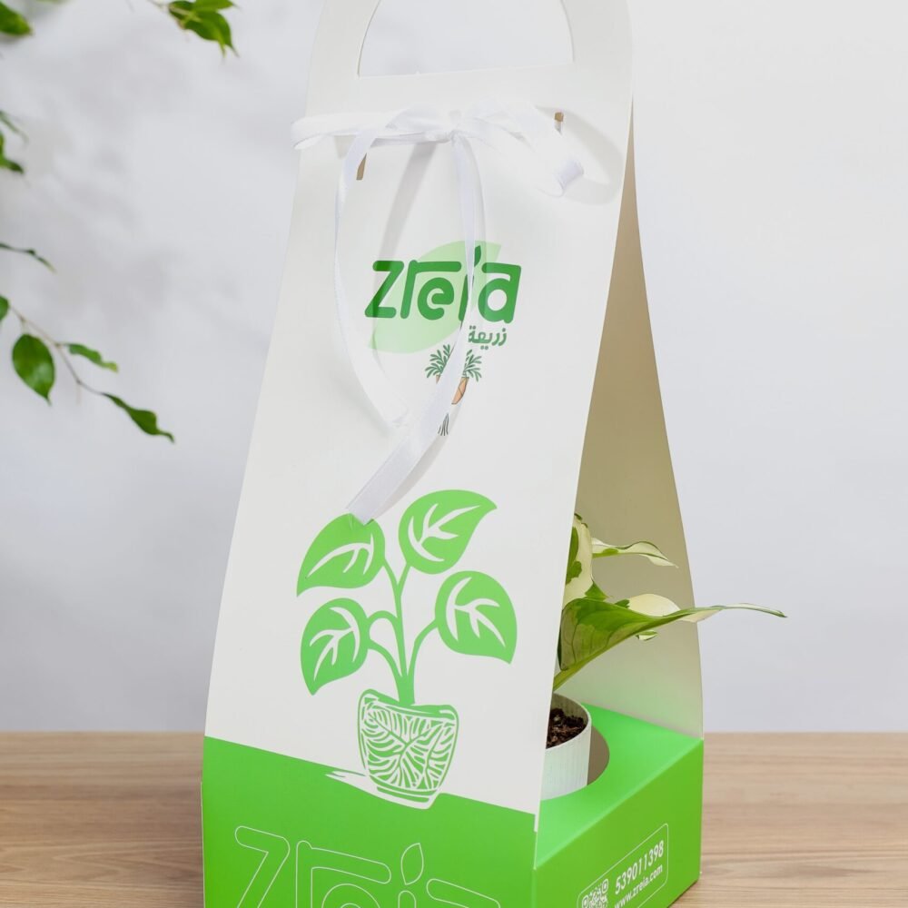 Shop Secondary Image