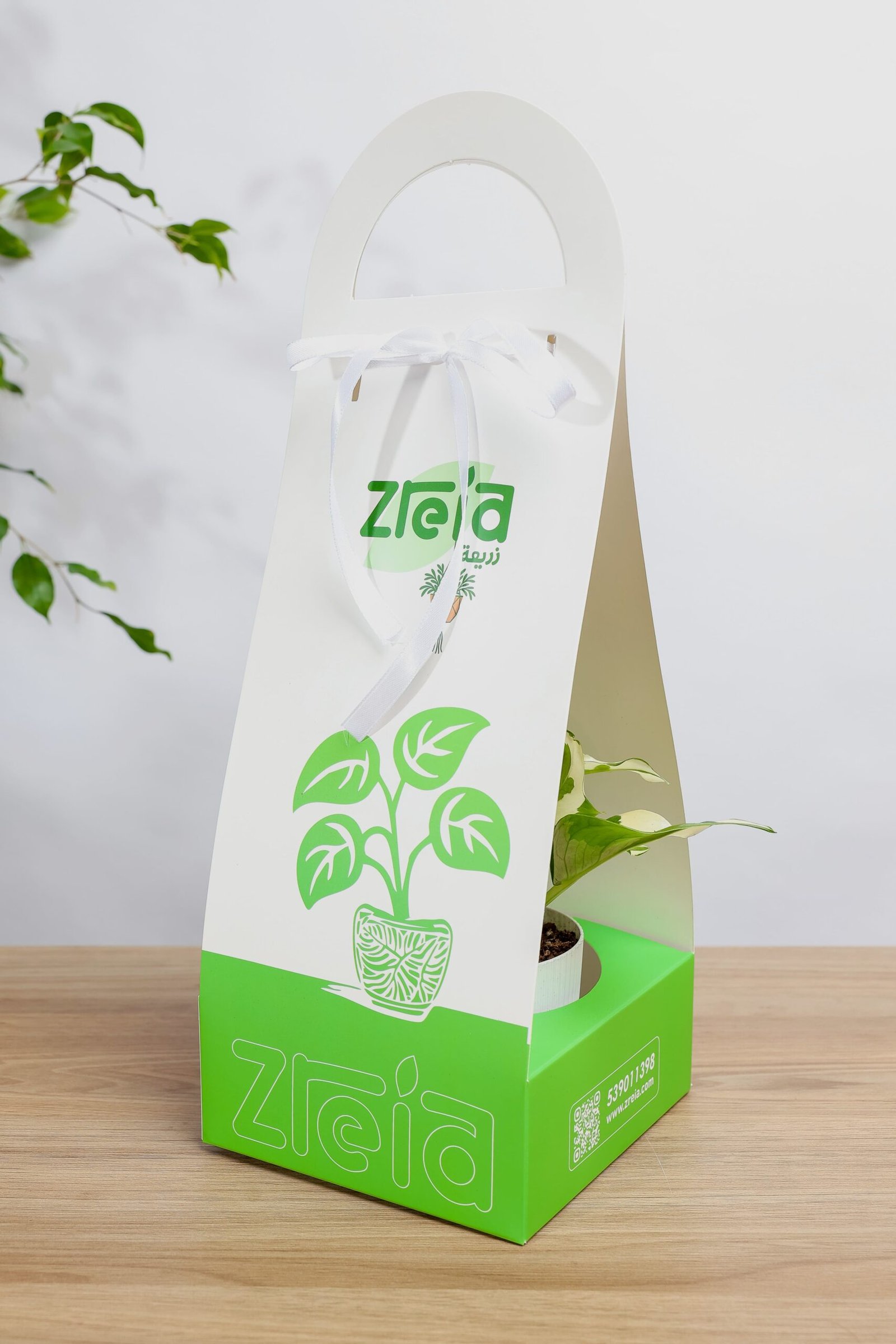 هديه هولدر نبتة بوتس انجوي - الصورة 2