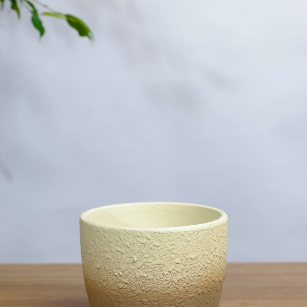 Shop Primary Image Shop Primary Image