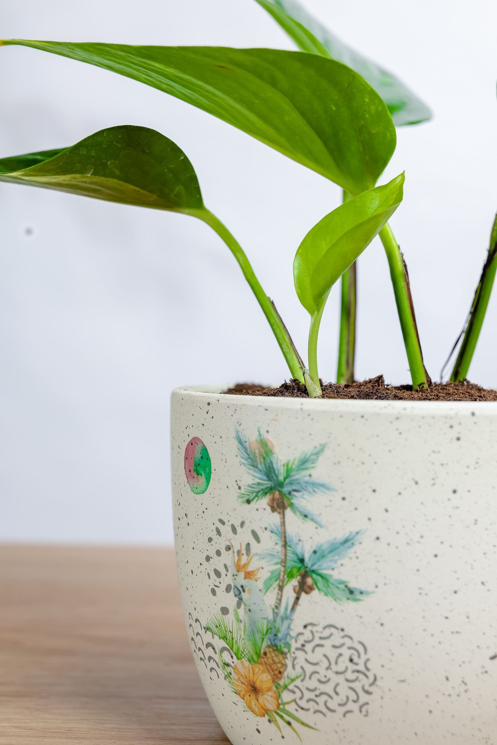 جولدن بوتس في حوض رخام بشكل مميز وانيق - الصورة 2