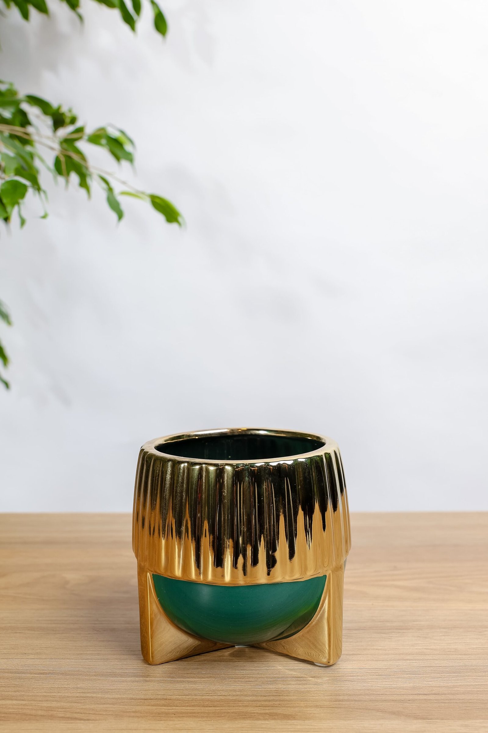 احواض نباتات ذهبيّة | حوض دائري مميز من زريعة