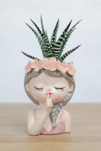 نبتة حوراء القصر من زريعة | هدية ظريفة وسهلة العناية