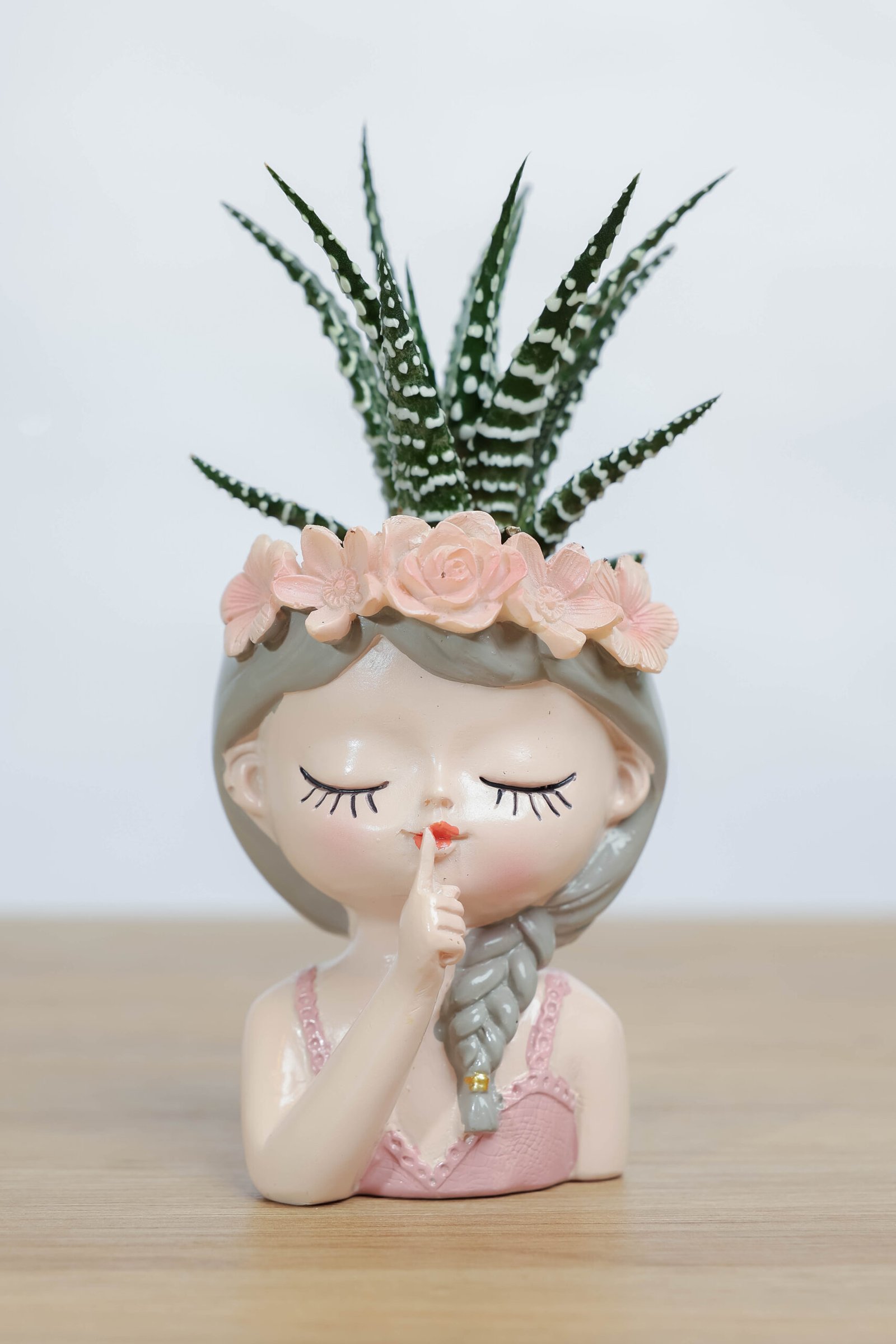 نبتة حوراء القصر من زريعة | هدية ظريفة وسهلة العناية