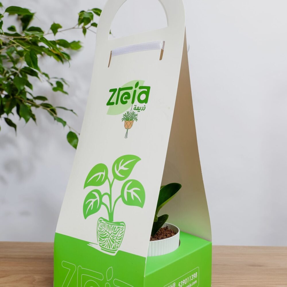 Shop Secondary Image