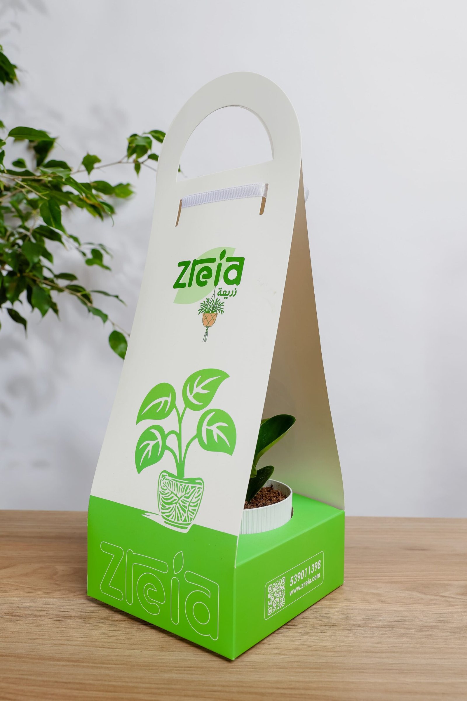 هديه هولدر نبتة الببروميا - الصورة 2