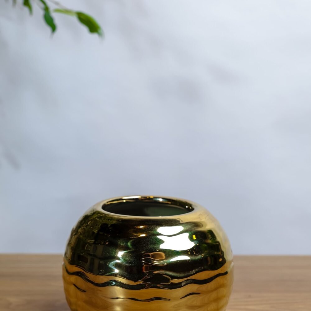 Shop Primary Image Shop Primary Image