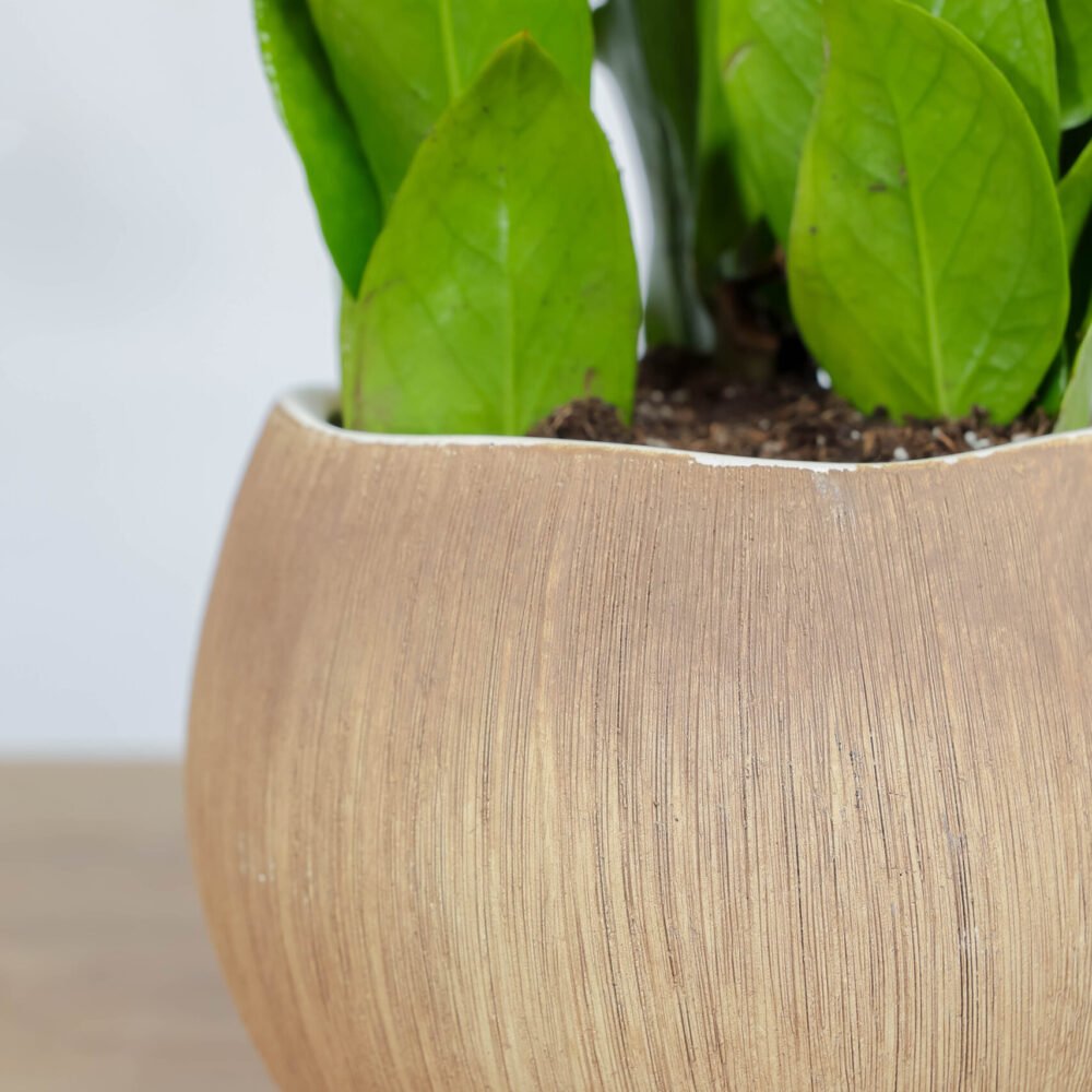 Shop Secondary Image Shop Secondary Image