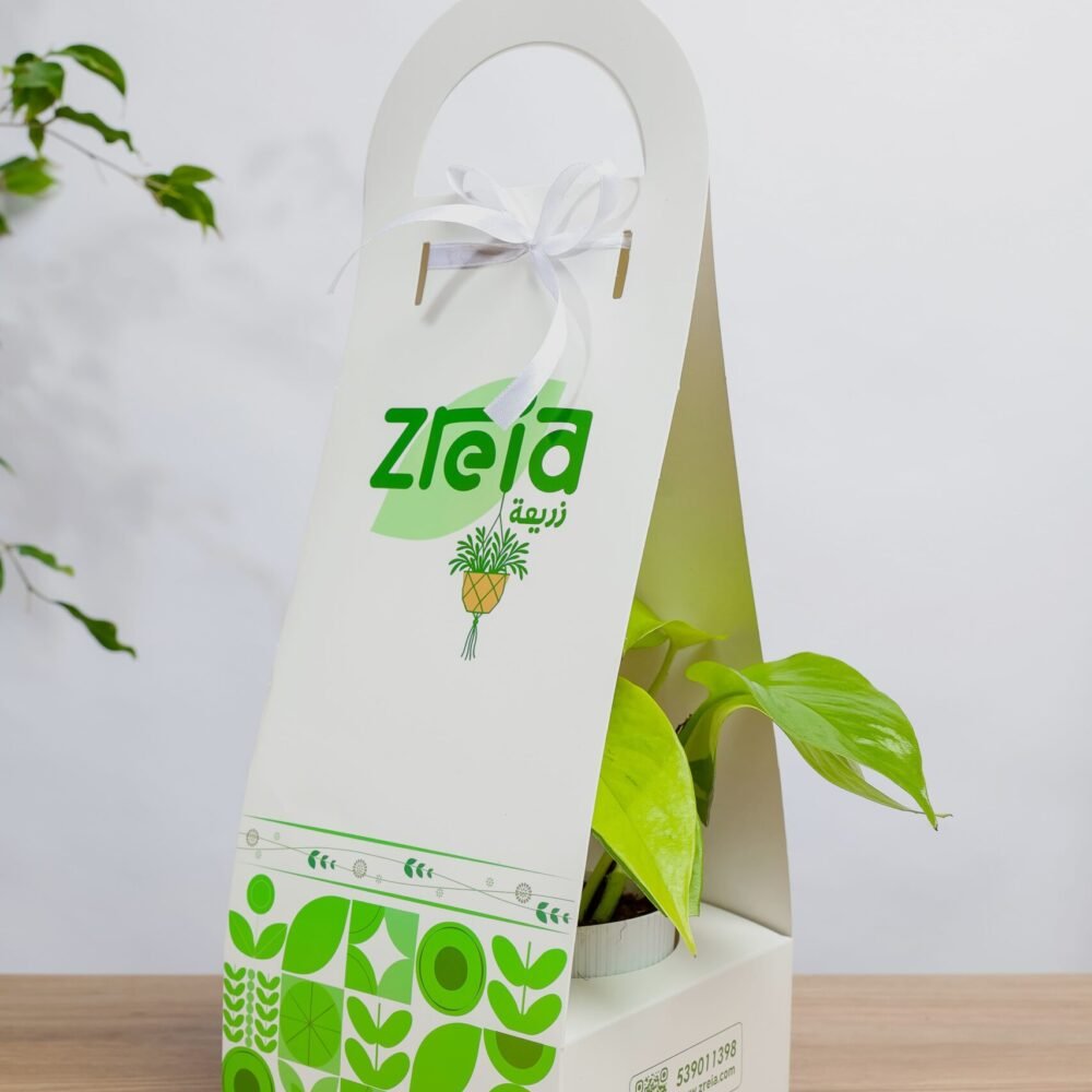 Shop Secondary Image