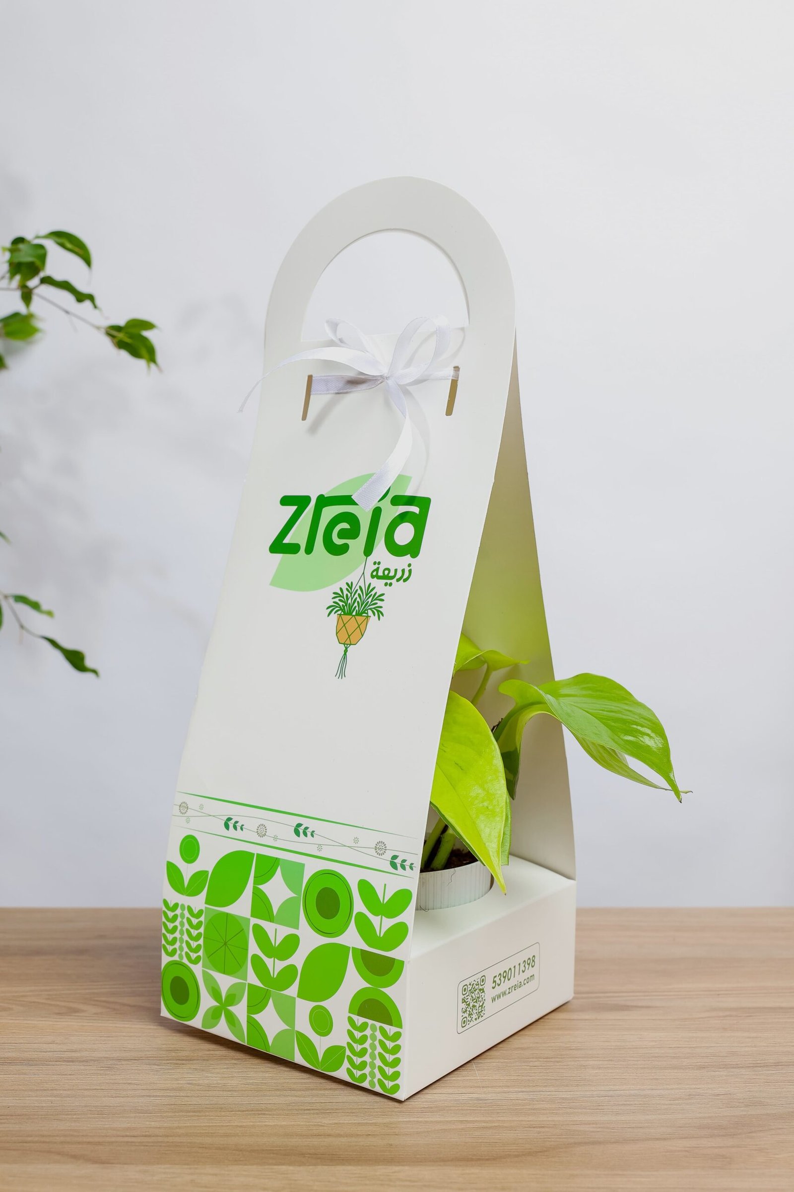 هديه هولدر نبتة بوتس نيون - الصورة 2