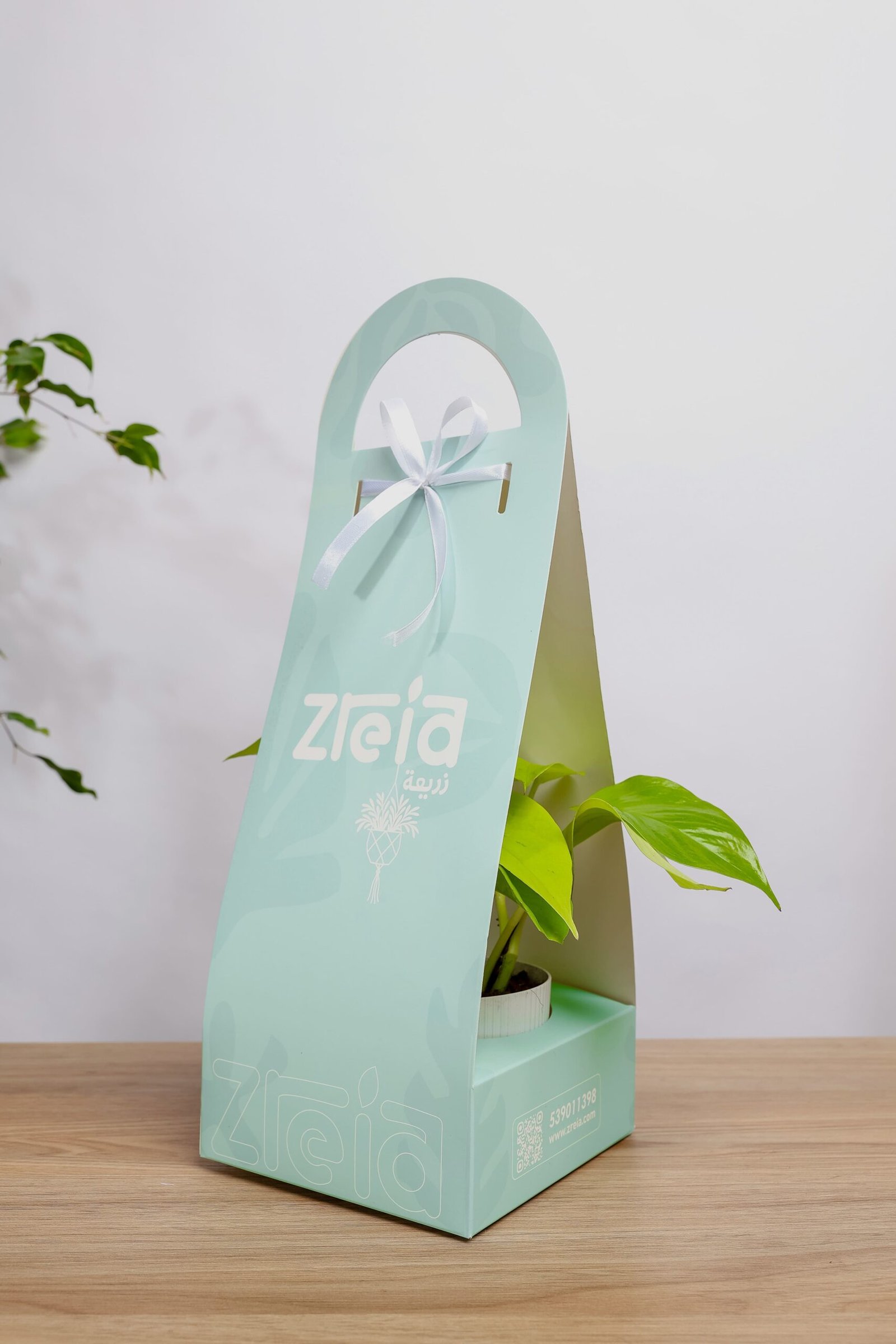 هديه هولدر نبتة بوتس سماوي - الصورة 2